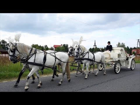 KAPELA VOICE - KARETA ZŁOTA