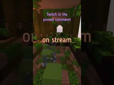 SlyFearless - This Minecraft Streamer's SECRET 🤯 Twitch in pinned comment!