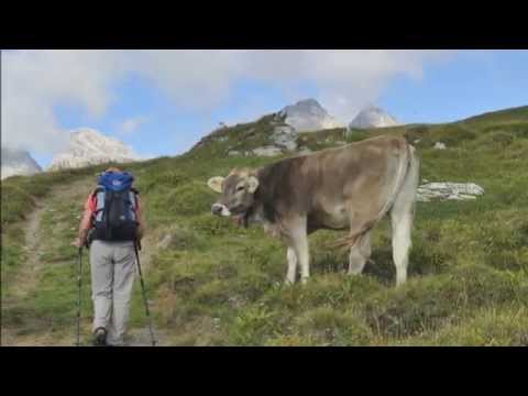 Sufers - Cufercalhütte - Turrahus   /// 22. Aug. 2015