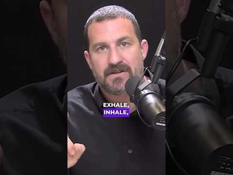 Neuroscientist: How To Stress Relief | Andrew Huberman #neuroscience #breathing #health