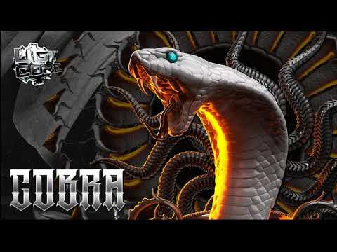 Floxytek & Tanukichi & USAO - Cobra