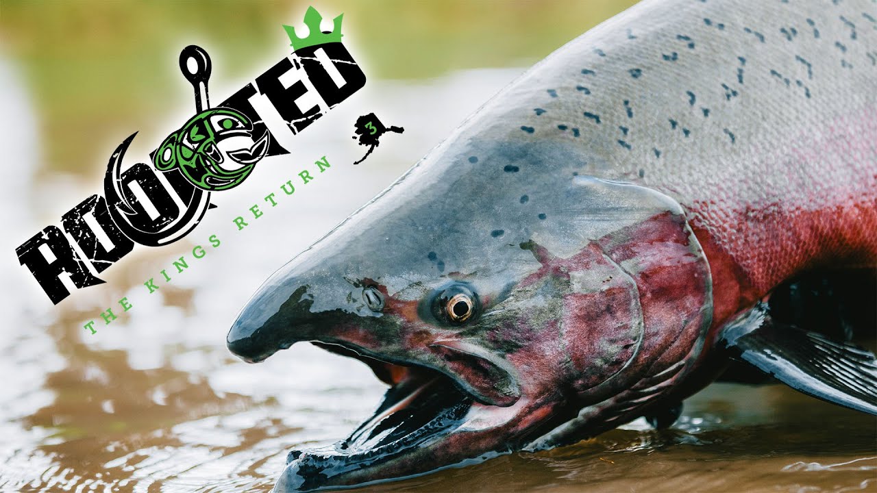 Addicted Alaska 3 - Alaskan King Salmon Fishing (Full Movie)