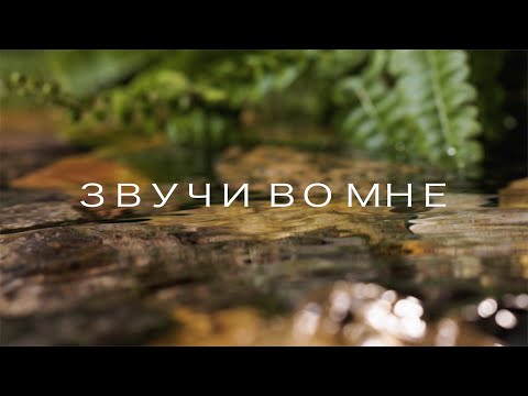 SokolovBrothers / Звучи во мне