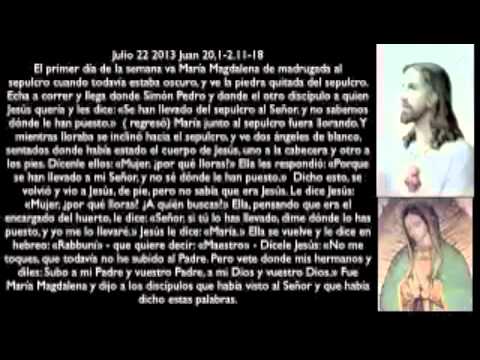 Evangelio julio 22 2013