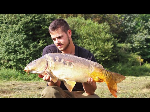 SBS Carp Fishing Vlog #9 - Rapid pontyozás kánikulában / Quick Summer Success