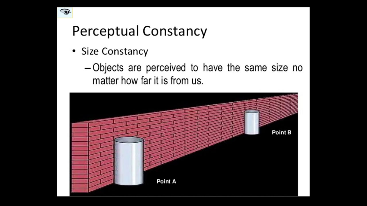 PERCEPTUAL CONSTANCIES