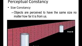 PERCEPTUAL CONSTANCIES
