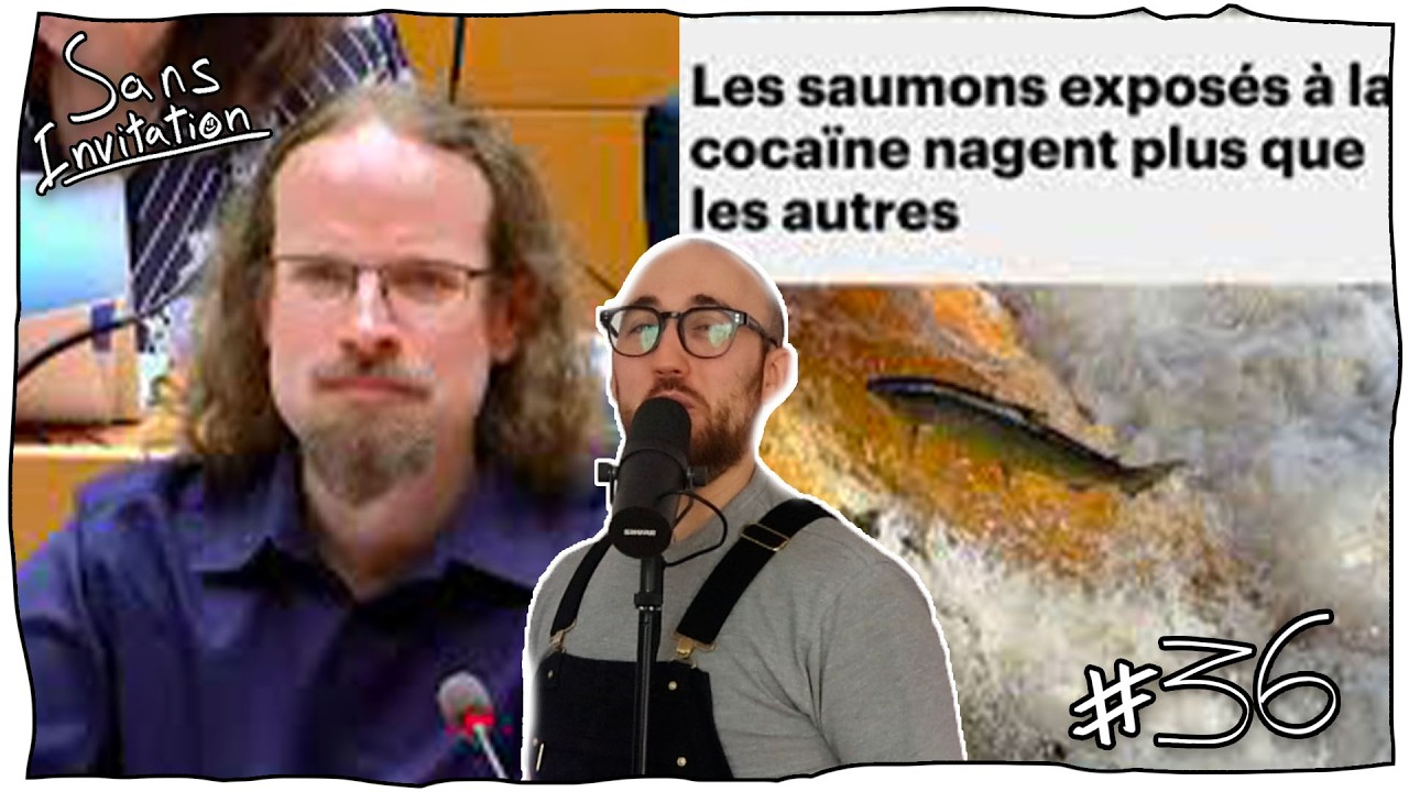 Ép.36 Saumon coké, Gen Alpha en relation IA & Stop Killing Games