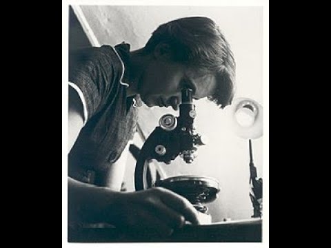 Unsung Hero: Rosalind Franklin's DNA Discovery #usa #canada #unitedkingdom