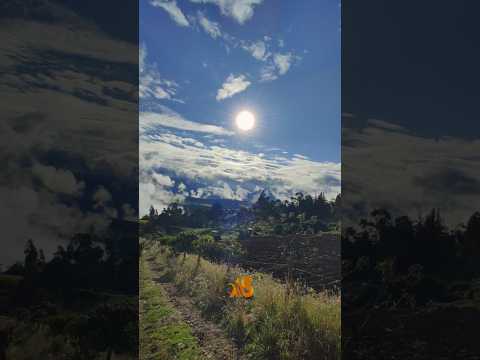 El Alisal Pimampiro Imbabura Ecuador Asín Sandoval