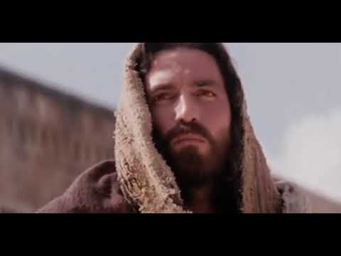 Amor Purificado - Fraternidade O Caminho