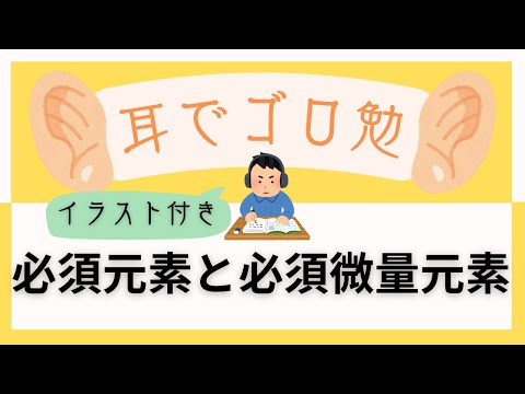 金属微量元素について詳しく解説
