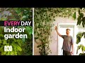 Andy's ivy wall will blow you away 🌱🤯 | Everyday Gardening | ABC Australia