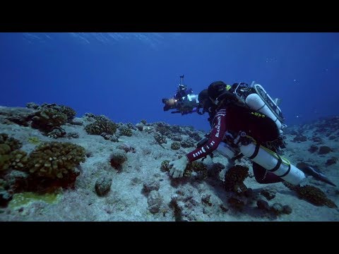 Gombessa IV Genesis - Episode 04