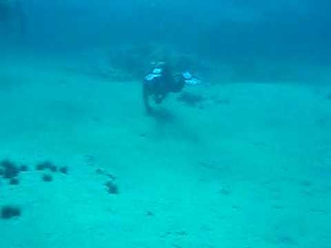 Buceo en La Baja Fernando (Las Canteras)