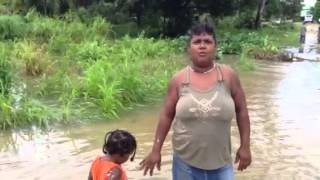 Forest Home Village Toledo