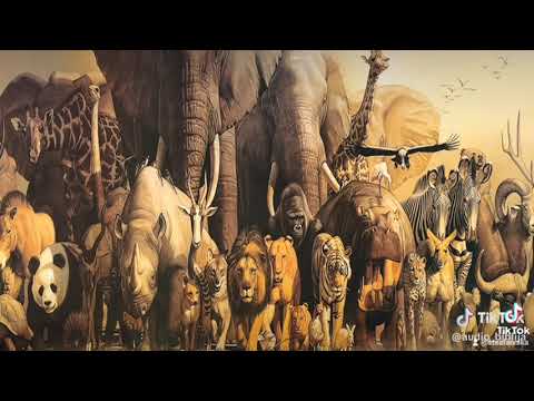 1 mojsijeva 6 glava Audio biblija Noje pravi barku.   SVETO PISMO.✝️