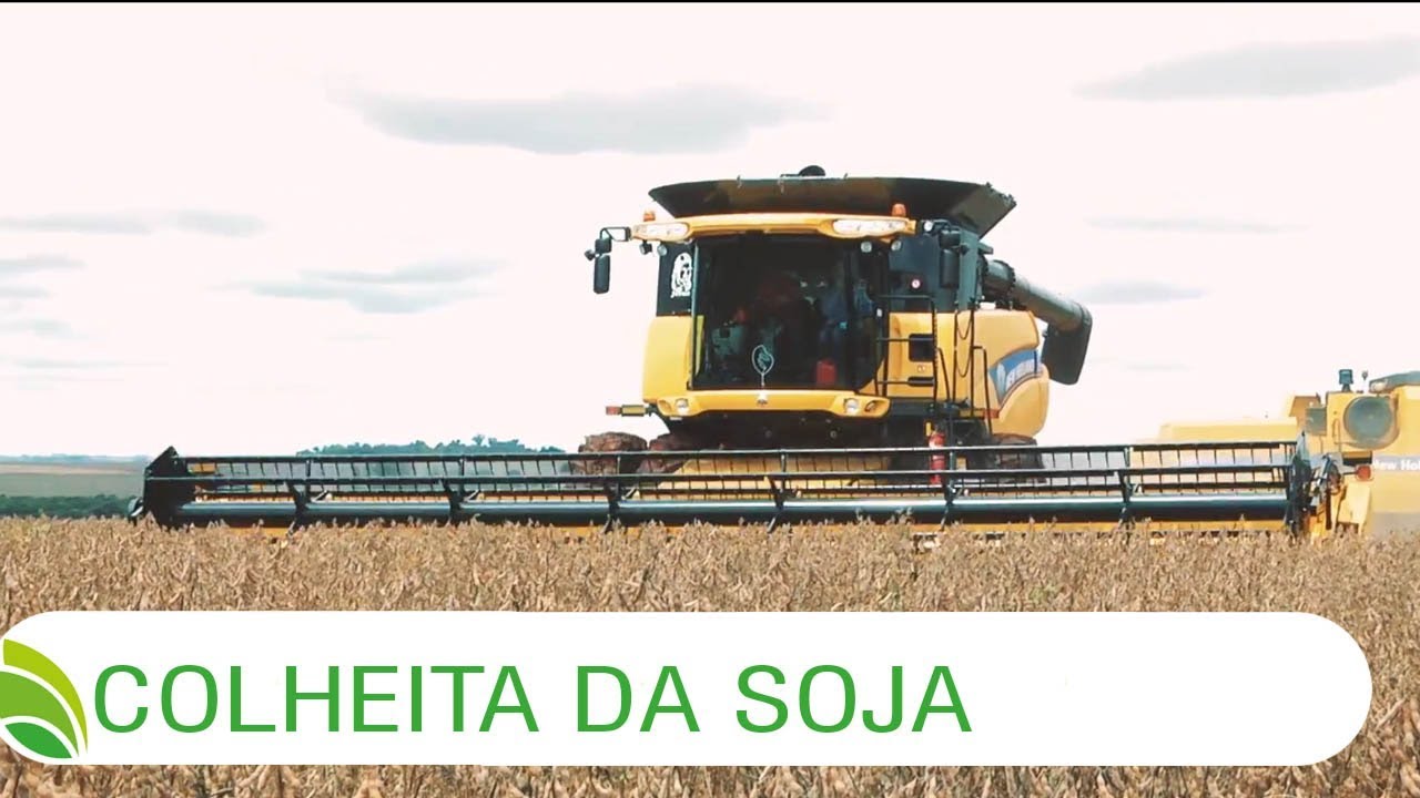 Multi Agro: Colheita da Soja