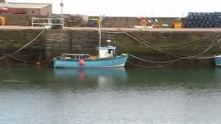 preview picture of video 'Gourdon Harbour - Scotland on 11th May 2010'