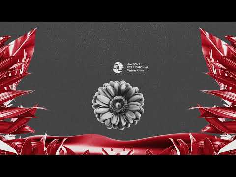 Dani Sbert - Episode