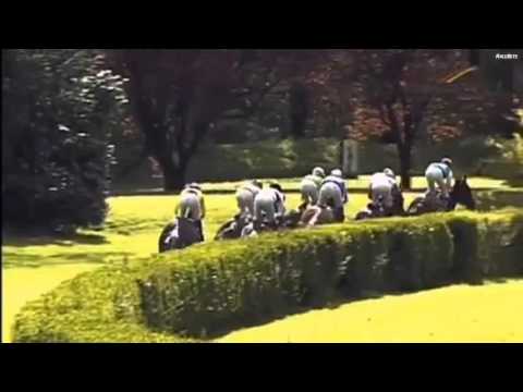 Millowitsch Dr. Busch Memorial G3 // 24 04 16 Krefeld