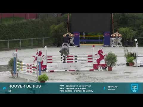 HOOVER DE HUS SF 5yo & VALENTIN BESNARD - SHF TOUR 2022 - St Lô (50 -Fr) - April 12th, 2022