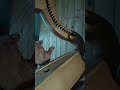 "making fingers" on wire strung harp