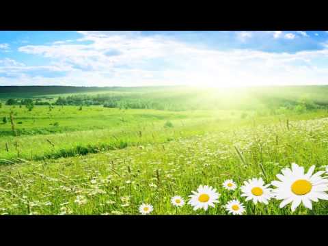 Vivaldi Summer (Full HD) Classical music