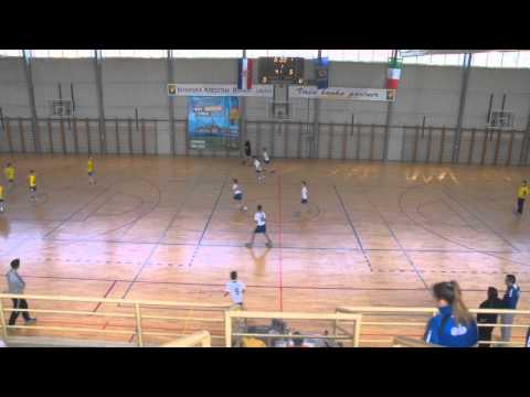 HC KOPRIVNICA HANGAR 18 (2004) - HC ROVINJ (2004)         10 :10