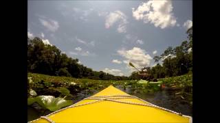 preview picture of video 'June 9, 2014 Paddling on Alexander Springs, FL'