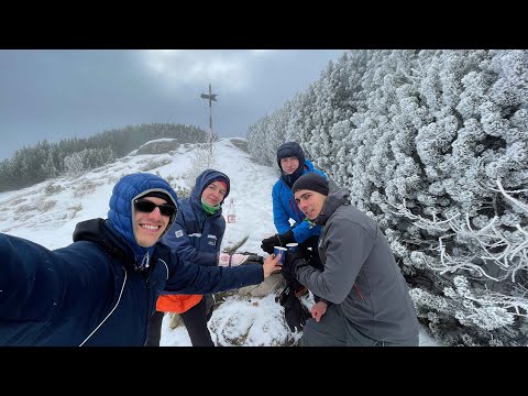 Zi de naștere la cantonul Schiel: Jepii mari UP, PPA DOWN