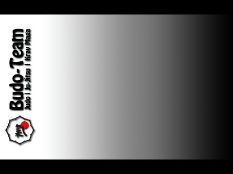 Budo-Team Selbstverteidigung