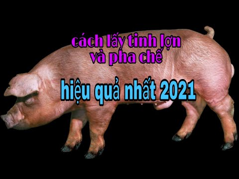 , title : 'CÁCH THỤ TINH NHÂN TẠO CHO HEO 2021'