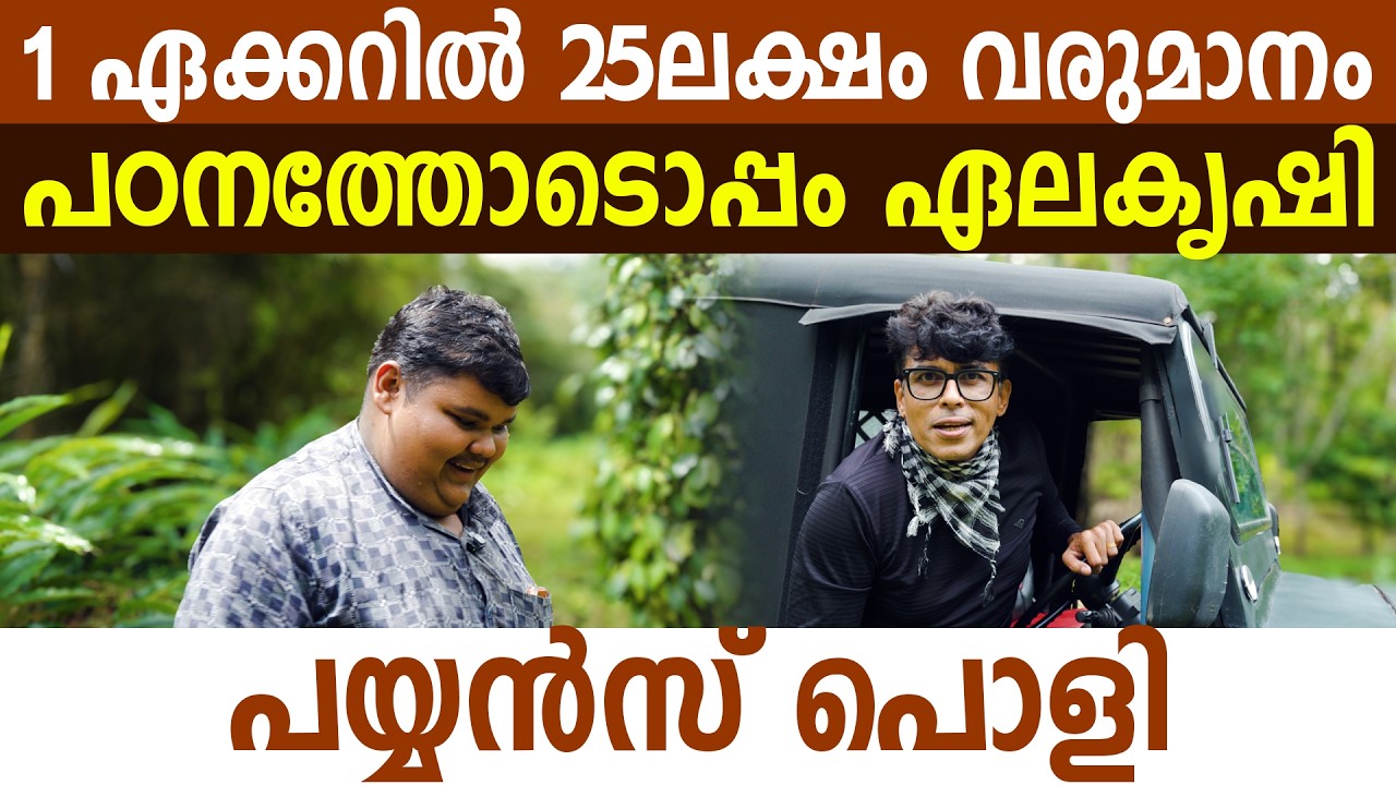 പഠനത്തിനൊപ്പം ലക്ഷങ്ങളുടെ ഏലകൃഷി! 50 ലക്ഷം നേടുന്ന യുവകർഷകനും | Cardamom cultivation worth lakhs along with studies! Young farmer earns 50 lakhs