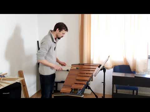 Practicing xylophone #4 - N. J. Živković - Alla Pollacca