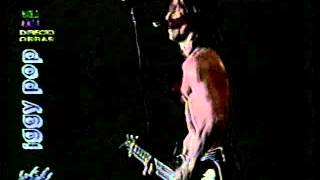 Iggy Pop - Real Wild Child - Live Argentina 1992