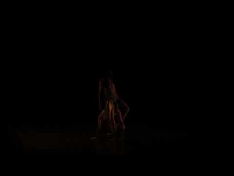 Fauno. Coreografía: Sidi Larbi Cherkaoui