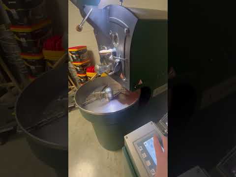 Giesen W6E P251109077