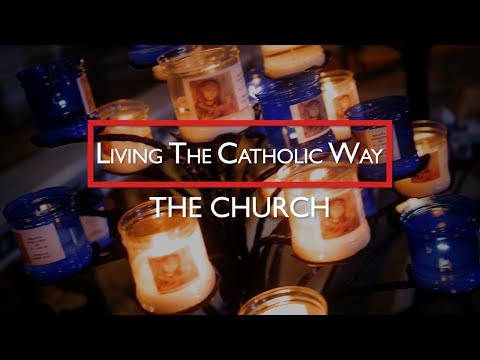 Click to Watch the Pope Francis: 'The beatitudes always bring joy'  video Click to Watch the Pope Francis: 'The beatitudes always bring joy'  video