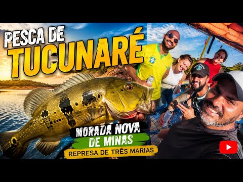 PESCA DE TUCUNARÉ EM MORADA NOVA DE MINAS | Represa de Três Marias 🎣🔥