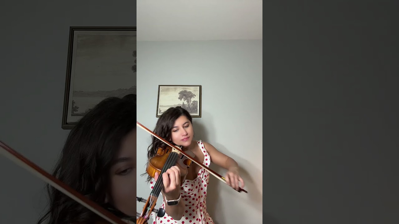 Promotional video thumbnail 12 for Violin Music for Weddings by Bruni Koeller