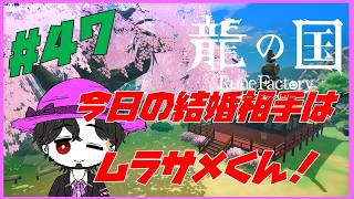 【実況】朝活龍の国 ルーンファクトリー！ ザ・サムライなムラサメくんと結婚する！ #47【ネタバレ注意】