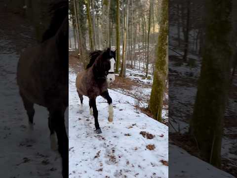 😆die ersten Frühlingsgefühle✌🏻