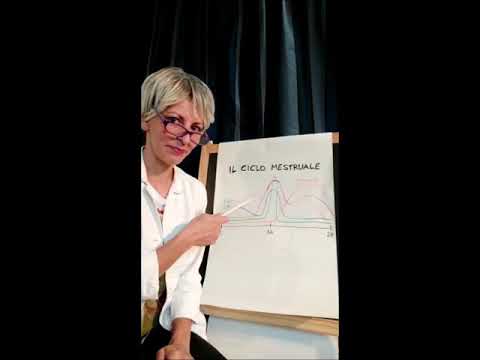 Il ciclo mestruale spiegato agli uomini... guidate con prudenza!