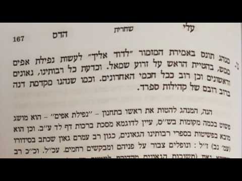 Joey Mosseri: Nefillat Apayim- Aleh Hadas 12/15/2010