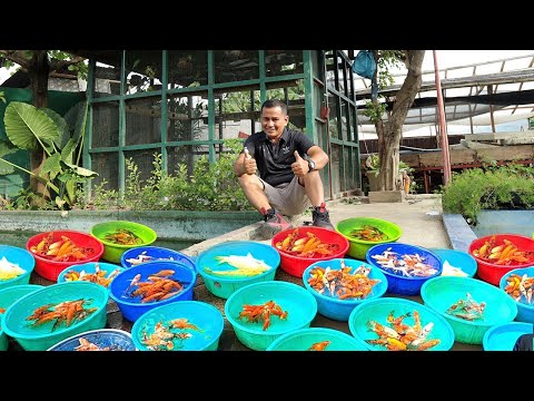 Raising & Harvesting Thousands of Fish!! Why You Shouldn't Start big in this fish Business