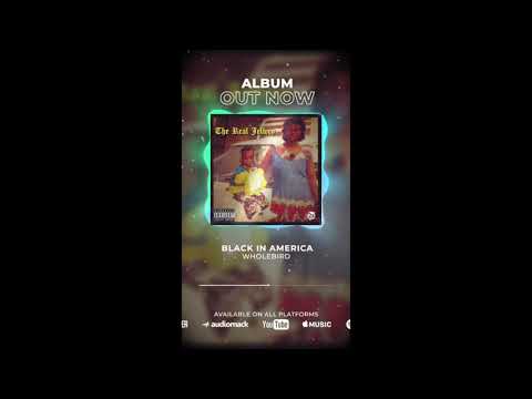 Wholebird - Black in America