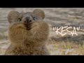 KESA by Edwin Marollano feat DANIEL GROSPE ( Official Lyric Video )