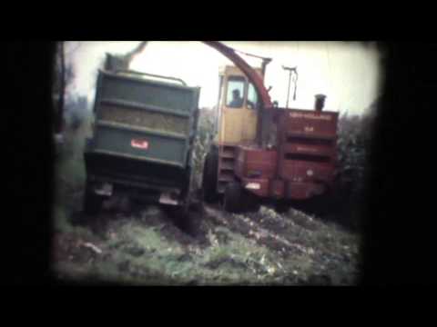 Loonw. Vansteelant - Torhout