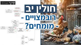 חולין דף יב - קצר וברור במיוחד - שיעורי הדף היומי של אתר סיני מאת אורי בריליאנט